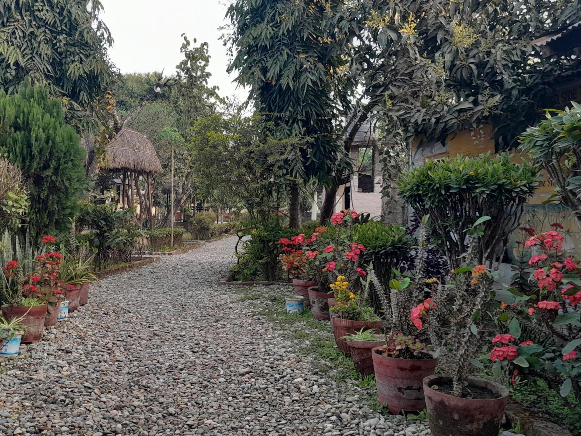 Hotel Crocodile Safari Camp Chitwan Exterior foto