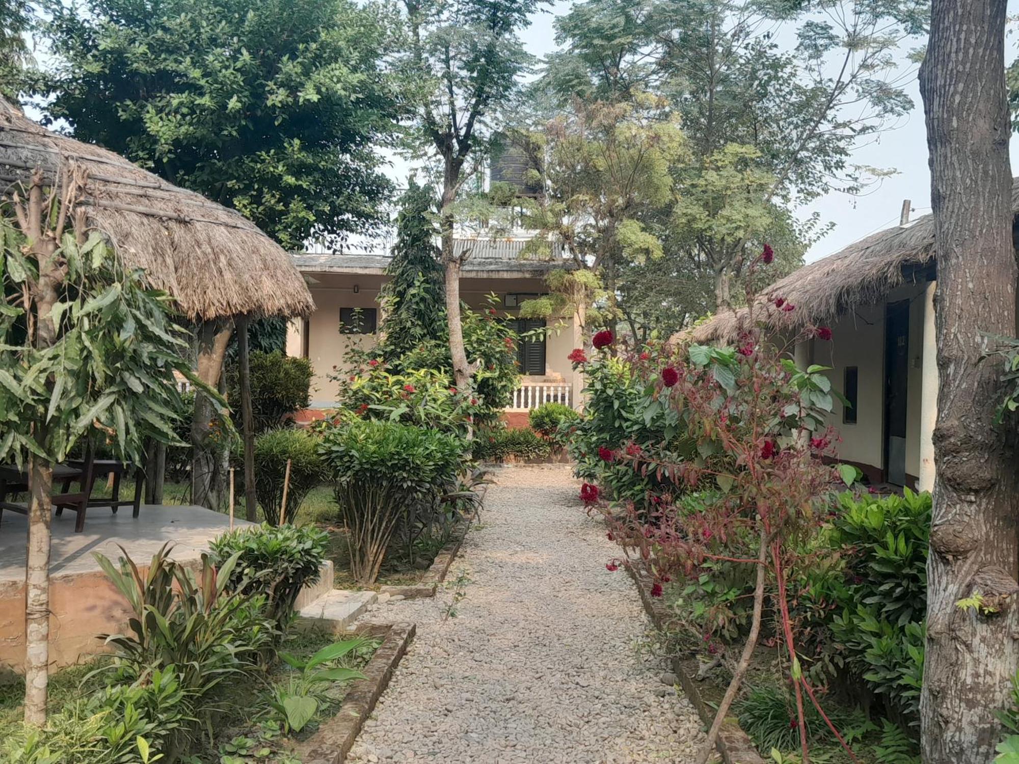 Hotel Crocodile Safari Camp Chitwan Habitación foto