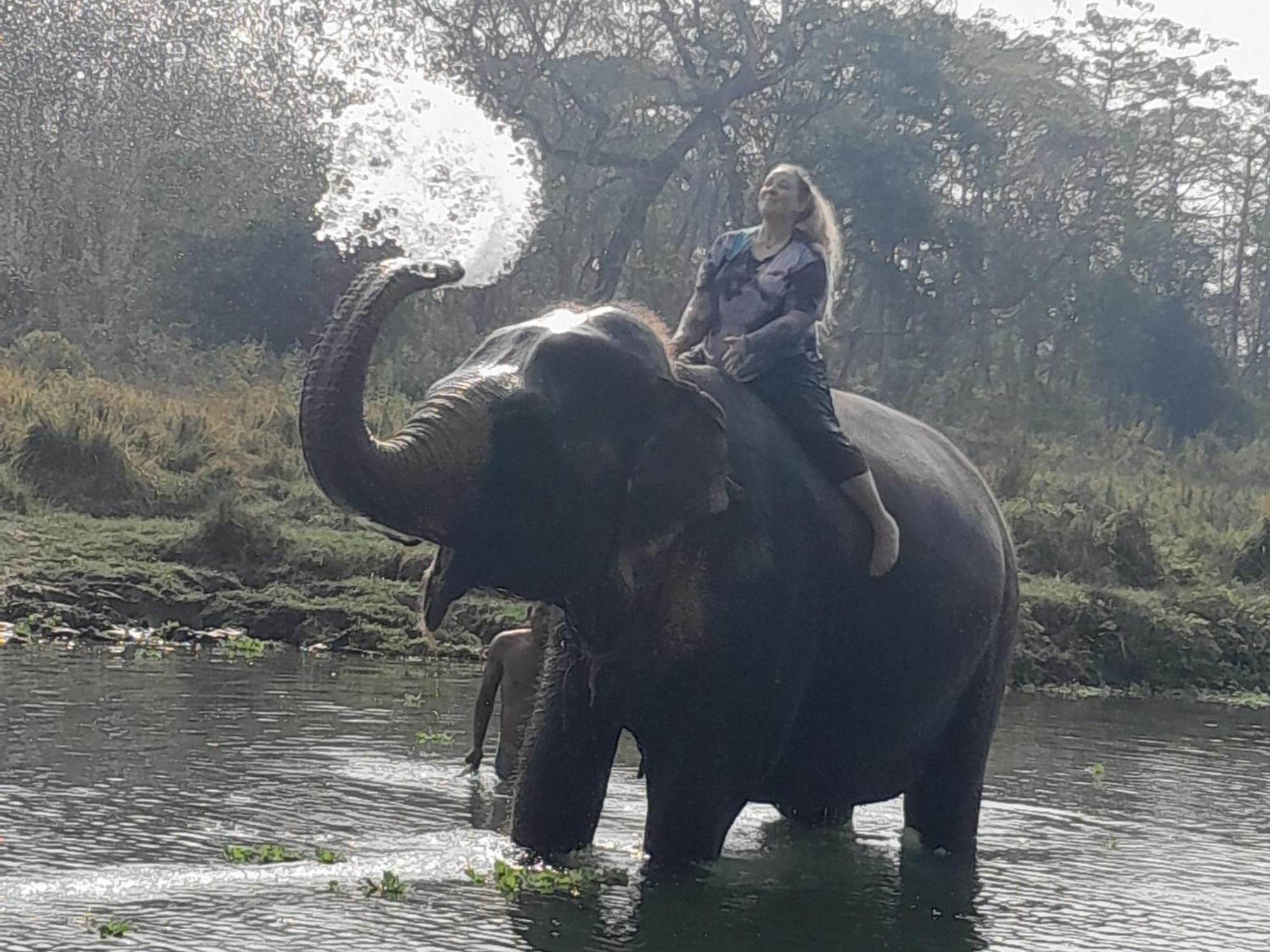 Hotel Crocodile Safari Camp Chitwan Exterior foto